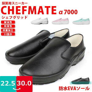 yyzyzY fB[X p Xj[J[ VFtCg At@ OiSyA7000zy h EVA \[ ϖh RۖhLH  3E ݌va7000