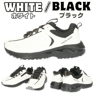 yzXST h Xj[J[ Y am jp yXST217z 4cm×4Ԗh y ₷ L 5E Ch t@Xi[ RC JbvC\[ ʋ ʊw i JWA Vv