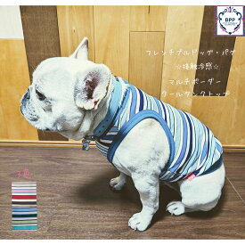 BPP☆フレンチブルドッグ・パグ　接触冷感マルチボーダー・クールタンクトップ