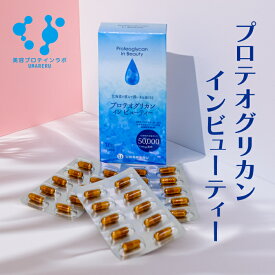 【 送料無料 】プロテオグリカン インビューティー 1箱 30粒 1ヶ月分 国内最高水準鮮度 の プロテオグリカン と 非変性2型コーラゲン 飲む美容液 抗炎症 保湿 保水 美容 潤い 関節 細胞を修復 男女 世代を問わず飲んでケア コラーゲン ヒアルロン酸 鮭由来 サーモン