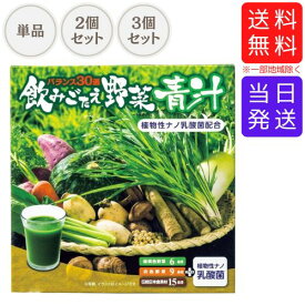 【まとめてお得】銀座ステファニー 飲みごたえ野菜青汁 30包