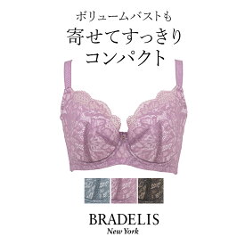 【40%OFF】ブラデリスニューヨーク ブラデリス クイックサポートブラ22A1(グラマー胸) BRADELIS NEWYORK 【グラマータイプ】 育乳ブラ 補整 補正 ブラジャー 脇肉 贅肉 脇高 大きいサイズ スリム 楽 ボリュームバスト すっきり見せる