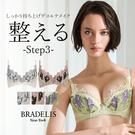 ブラデリスニューヨーク ヴィオラステップ3ブラ25A1 BRADELIS New York 【ヴィオラタイプ】 育乳ブラ いくにゅうぶら 補整 補正 ブラ ブラジャー 谷間 バストアップブラ 産後 卒乳 下着 レディース 昼 日中 小さいサイズ 20代 30代 40代 小胸 ハミ肉