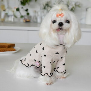  hbOEFA ybgEFA  n[g pEFA TVc t ^p ^p   U K Ckp 񂿂p ^p sN x[W AC{[