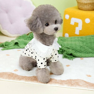 hbOEFA  ybgEFA TVc   Vc hbg s[X hX XJ[gt tp ėp ĕ ^p   U 񂿂p