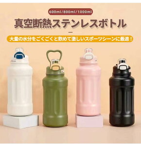  XeX{g X|[c WO AEghA XeX X|[cWO }O{g ^fM  ۉۗ e X|[c^Cv ⋋ q XeX{g ̎q j