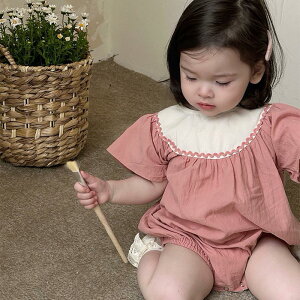 xr[ p[X Ԃ Jo[I[ K[[ Z ̎q ĕ ʋC  oYj VMtg c v[g LOʐ^Be ߋ H {Q ~Ղ 