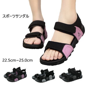 fB[X T_  ₷ ؂ X|[c T_Xj[J[ Ȃ y ₷ ᔽ r[`T_ r AEghA ₷  ɂȂ JWA ~