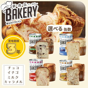 H VHʃx[J[ hЃp ۑp 3Nۑ ʋl ʋlp p `R  ~N L 