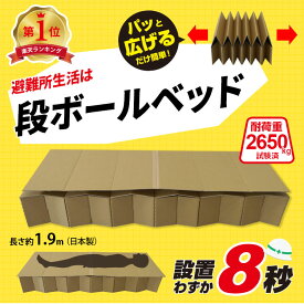 日本製 防災ベッド わずか8秒設置!【ブレイン BR-DA100 ジャバラベッド】段ボール ダンボールベッド 防災備蓄 軽量 丈夫 ワンタッチ組立て　耐荷重がなんと！2650Kg!! コンパクト 収納 ダンボール ベッド 非常用