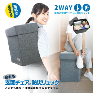 ブレイン 【座れる玄関チェアde防災リュック BR-10005】玄関チェアとして 座れる 玄関防災バッグ 耐荷重約100kg 防災リュック 非常持出袋 玄関 防災バッグ 防災用品 非常持ち出し