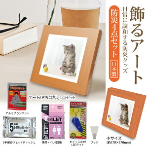 (ꕔn揜) phЃZbgyBR-ATT300 A[g h4_Zbg+A[g|X^[(lR)1z펞ɕKvȖhЃZbgA[gɁI 170x170mm Ǌ|/X^h 2WAY pgC 