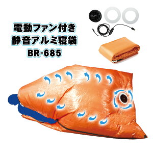 �u���C�� §BR���� �Q�� �yBR-685 �d���t�@���t���É��A���~�Q�܁i�t�@��/USB�P�[�u��/���샏�b�y���t�j���o�C���o�b�e���[�ʔ��z�t�@������荞�񂾕����Q�ܓ����z�@�󒲃G�A�R�� �d��
