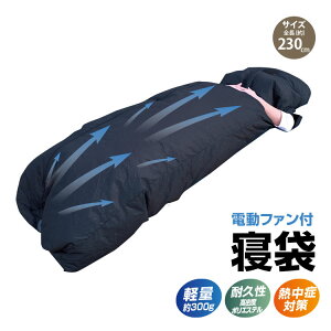 �u���C�� §BR���󒲁yBR-689 �Q�� �����x�|���G�X�e�� �d���t�@���t���Q�� �����o�C���o�b�e���[�͕ʔ���z�t�@���̕����Q�ܓ����z��! §BR���� �t�@���t���Q�� �ăL�����v �V�����t ������