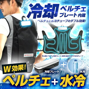 (ꕔn揜) uC BR-871 y`FxXg(y`F╞) 200gۗ×2v[g ewpIy jp É y`FxXg