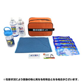 送料無料(一部地域を除く) ブレイン 熱中症 セット【熱中症対策キット BR-510】ポーチに入った熱中症予防キット　熱中対策キット　熱中対策応急セット 熱中症予防対策商品