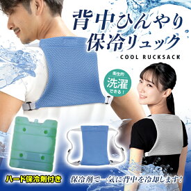 ［ネコポス/送料無料 /代引き不可］[ブレイン] 2025年モデル 保冷剤を入れてしっかり冷やせる 【BR-527 背中ひんやり保冷リュック（※ハード保冷剤1個付き）ブルーorホワイト】 クールダウン 熱中症対策 スポーツ観戦 猛暑 アウトドア 農作業 釣り スポーツ 冷却 夏 暑さ対策
