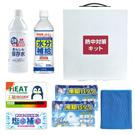 ブレイン【BR-560 熱中対策キットミニ(MINI)】熱中症対策グッズ・熱中症対策セット・熱中症対策応急キット・熱中対策予防キット 父の日