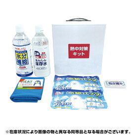 ブレイン【BR-560 熱中対策キットミニ(MINI)】熱中症対策グッズ・熱中症対策セット・熱中症対策応急キット・熱中対策予防キット 父の日