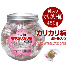 ブレイン カリカリ梅【種あり 熱中カリカリ梅 450g ボトルタイプ BR-CU50】うめ ウメ 梅干し 塩分補給 熱中症対策 おやつ 送料無料(一部地域を除く)