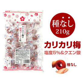 カリカリ梅 梅干し【赤城フーズ 種とりカリカリ梅 1袋 210g（ 種なし ）個包装 2026年製 】すっぱくて美味しい 熱中症対策 塩分補給 梅 ウメ うめ おやつ お茶漬け 業務用