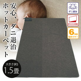 送料無料(一部地域を除く) 折り畳み収納/ダニ退治【ホットカーペット 1.5畳用本体 TWA-1502B】 切り忘れ タイマー付き