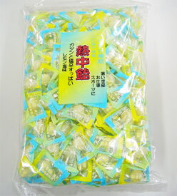 送料無料(一部地域を除く) 井関食品　熱中飴　レモン塩味　1kg　HO‐3