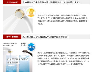 サロンスタイルシャワー