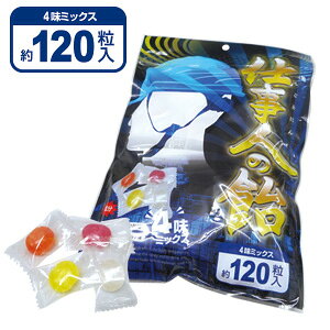 2025N uC ydl̈ 4~bNX (120)@BR-S5000z4(EIWEXCJE[Og) MǑ΍  ̓