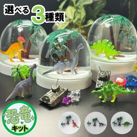 【 工作キット 】かっこいいスノードーム手作りキット‼ 【恐竜】 手作り スノードーム キット 夏休み イベント 小学生 自由研究 宿題 工作 海 プレゼント 子供 簡単 親子 ハンドメイド 低学年 高学年 クラフト 知育 男の子 女の子 幼児 図工 学習 祭 ダイナソー かわいい