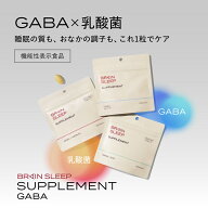 ブレインスリープ サプリメント GABA　 乳酸菌 睡眠の質 睡眠サポート 睡眠サプリ gaba 乳酸菌 サプリメ…