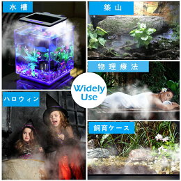 楽天市場 国内発送 Agptek 更新 ミニ ミストメーカー 加湿器 超音波霧発生装置 霧発生装置 製霧機 熱帯魚 アクアリウム 水槽 築山 池など用品 使用簡単 Nicewealth Development