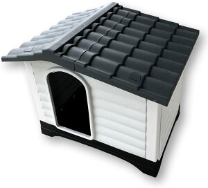 yBranch Dogz  ^ ^p hbOnEX VF^[ Op (vX`bNj 424B [bpEAJAop