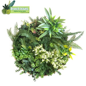 Branch leaves EH[O[ a50cm ~` zt CCGK004BV027 Ǌ| lHϗtA tFCNO[ CeA