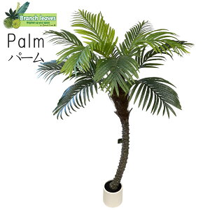 Branch leaves tFCNO[ p[ palm 160cm 100cm V̖ 160cm 100cm {̂悤ȃAȎ CeA lHϗtA q tFjbNX CH10841627