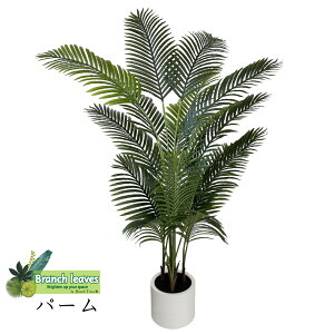 Branch leaves tFCNO[ p[ palm V̖ ^ 180cm 130cm {̂悤ȃAȎ CeA lHϗtA q V