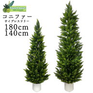 Branch leaves フェイクグリーン コニファー サイプレスツリー (ヒノキ) 針葉樹　140cm / 180cm 鉢付き …