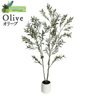 Branch leaves フェイクグリーン オリーブ Olive 実付き 高さ160cm 横幅80cm CH06740761　本物のようなリ…