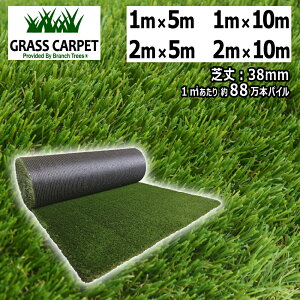 �l�H�� ���[�� GRASS CARPET �ŏ�38mm �����x �܂�Ŗ{���̓V�R�ł̂悤�ӂ��ӂ��� ���K�Ȃ����S�n by Branch Trees