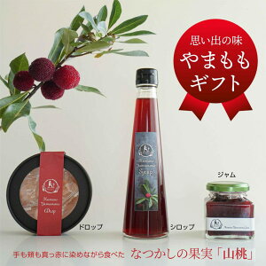 RVbv ܂ hN MtgZbg }hbv }W F }