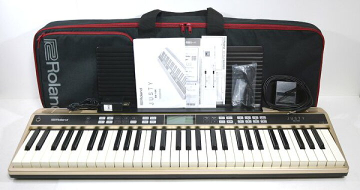 楽天市場】☆ソフトケース付！ROLAND ローランド JUSTY HK-100 
