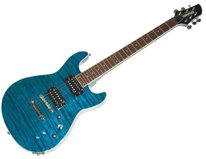 楽天市場】☆ソフトケース付！FERNANDES フェルナンデス APG-55S 