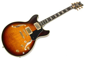 Ibanez ACoj[Y JSM100 John Scofield WXRtB[h f Z~AR