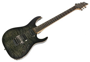 \tgP[XtISCHECTER VFN^[ BANSHEE-6 FR P GLM^[