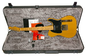 n[hP[XtIFENDER AMERICAN PROFESSIONAL II Telecaster MN BTB AJ vtFbVi eLX^[ GLM^[