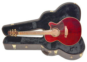 �n�[�h�P�[�X�t TAKAMINE �^�J�~�l DMP551C WR �G���A�R �A�R�[�X�e�B�b�N�M�^�[