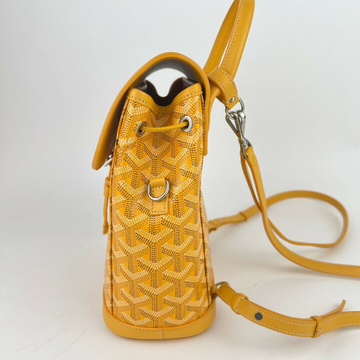 楽天市場】未使用 GOYARD ゴヤール アルパン ミニバックパック 