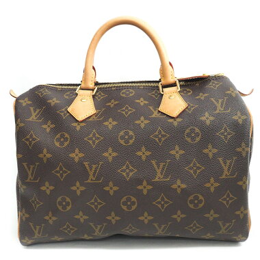 Louis Vuitton Speedy: A Century's Most Coveted Handbag