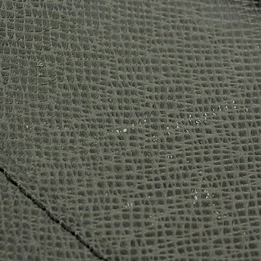 [Used] [Good Condition] Louis Vuitton Anton Messenger PM Taiga Stripe Animation M34441 [Shoulder Bag]