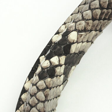 [New Arrival] [Used] [Unused / New Old] Louis Vuitton Capsine PMN92801 [Handbag]